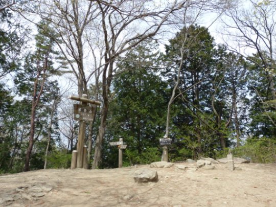 宝登山山頂